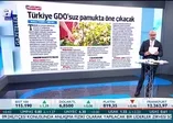 Türkiye GDO’suz pamukta öne çıkacak
