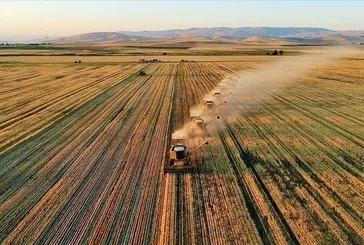 KIRSAL KALKINMA DESTEĞİ ŞARTLARI 2025 | Kırsal Kalkınma Desteği ne kadar, başvurusu nasıl yapılır?