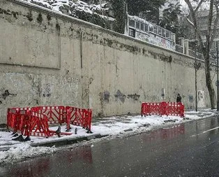 İBB asırlık ağaçları tedavi etmeden kökten kesti