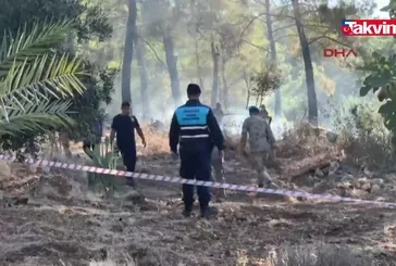 Hava aracı ormanlık alana düştü!