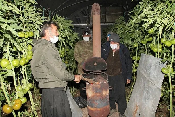 Mersin'de domates üreticilerinin "zirai don" nöbeti-3