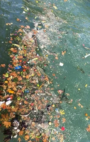 Tatil cennetinde deniz çöplüğe döndü! CHP'li belediye seyretti