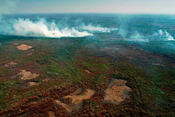 Brezilya'daki yangınlarda yaklaşık 1,5 milyon hektar sulak alan yandı-2