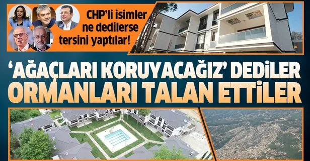 Ağaçları koruyacağız dediler, ormanları talan ettiler! Ne dedilerse tersini yaptılar