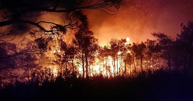 Muğla’da söndürülen orman yangını yeniden başladı! Güçlükle müdahale ediliyor