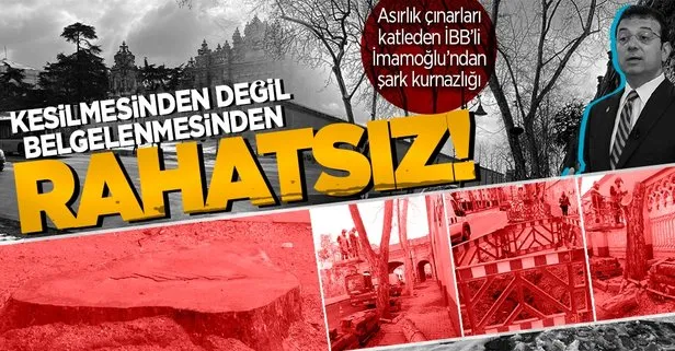 CHP’li İBB Başkanı Ekrem İmamoğlu 112 çınarın kesilmesinden değil görüntülerin yayınlanmasından rahatsız!