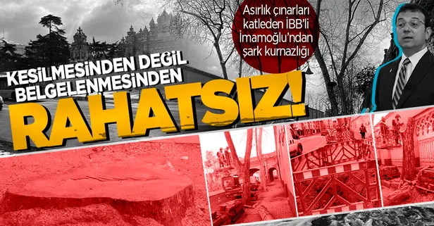 CHP'li İBB Başkanı Ekrem İmamoğlu 112 çınarın kesilmesinden değil görüntülerin yayınlanmasından rahatsız!