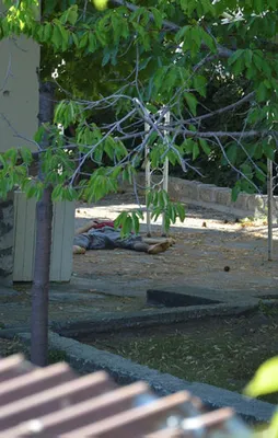 FETÖ/PKK/DEAŞ işbirliği böyle belgelendi