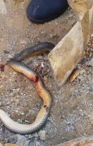 Sosyal medyada paylaştı, büyük tepki çekti