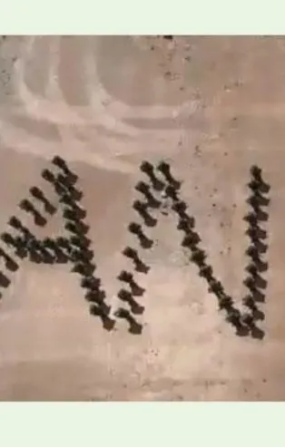 Suriye sınırında görevli Mehmetçik'ten, 'Annem' koreografisi
