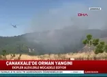 Çanakkale'de orman yangını (Video)