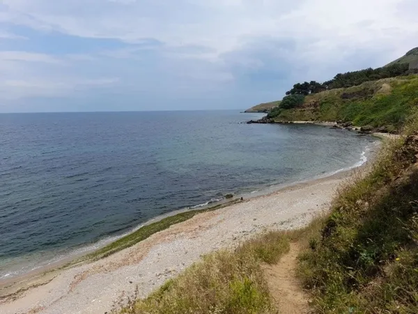 sinopta-panik-uzerinde-tehlikeli-yazan-variller-kiyiya-vurdu-1624703862357.jpg Sinop'ta panik! Üzerinde 'tehlikeli' yazan variller kıyıya vurdu-4