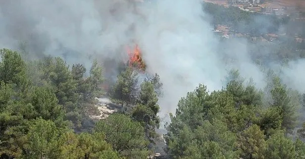 Adıyaman’da orman yangını! Ekipler seferber oldu: 1 hektarlık alan zarar gördü
