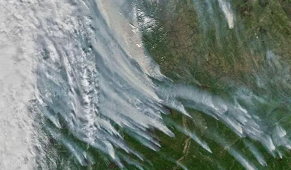 son-dakika-rusya-sibiryada-orman-yanginlari-dumanlar-tarihte-ilk-kez-kuzey-kutbuna-ulasti-1628590770499.jpg SON DAKİKA: Rusya Sibirya'da orman yangınları! Dumanlar tarihte ilk kez Kuzey Kutbu'na ulaştı-2