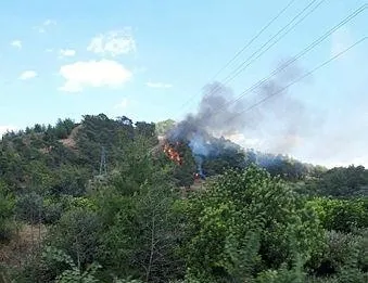 Muğla Dalaman’da orman yangını!