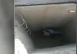 Resulayn’da PKK’ya ait tünel bulundu |Video