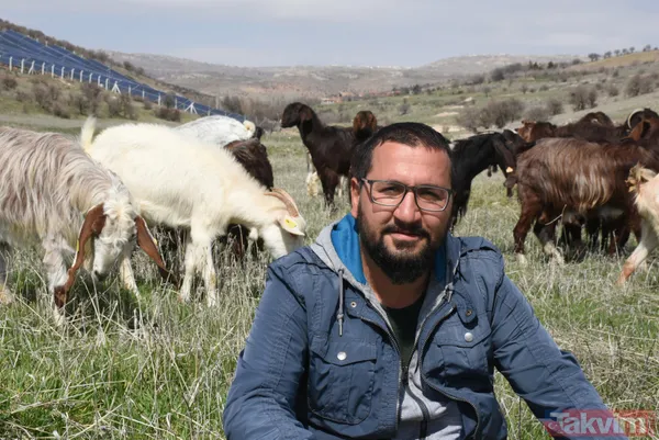 Müteahhitliği bıraktı! Keçi çiftliği kurdu! Süt siparişlerine yetişemiyor - 5