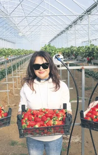 Topraksız serada üretim yapıyorlar