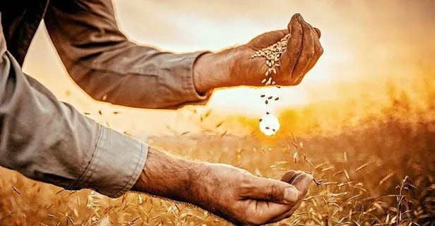 Hükümet harekete geçti! Çiftçilere müjdeli haber