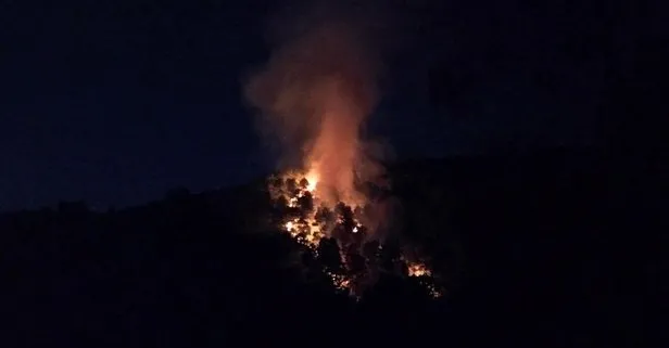 Son dakika: Kartal Aydos Ormanı’nda yangın!
