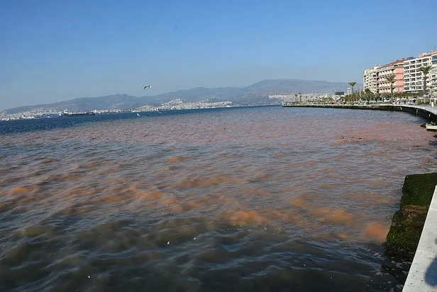 Son dakika: İzmir'de su borusunun patlaması nedeniyle denizin rengi değişti-1