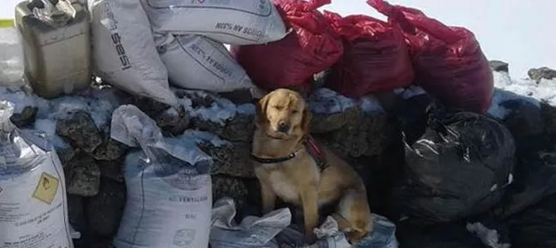 Bingöl'de 2 ton patlayıcı ele geçirildi