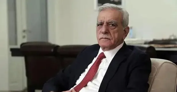 DEM Partili Ahmet Türk'ten Terörsüz Türkiye açıklaması: Çözerse Erdoğan çözer