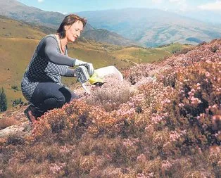 Tıbbı-aromatik bitki kazandırıyor