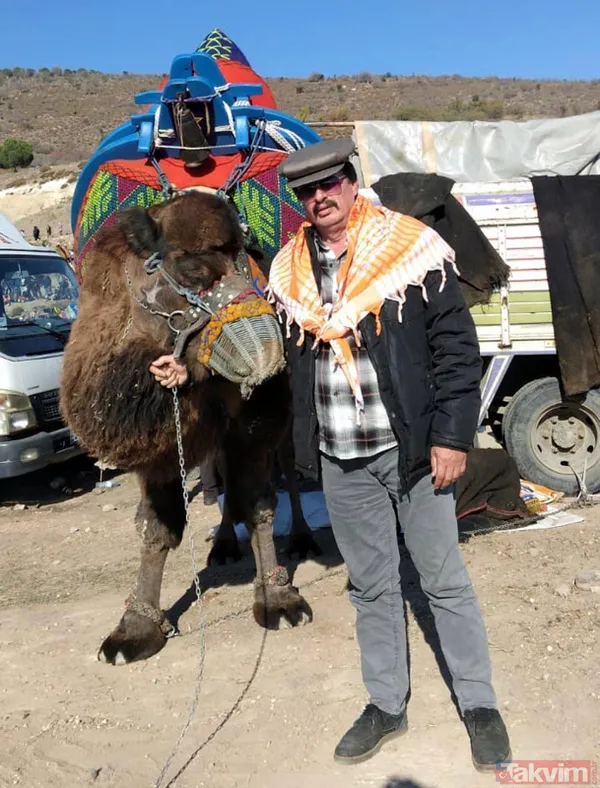 Son anda kurtuldular! Manisa'da deve güreşlerinde ezilme tehlikesi - 42