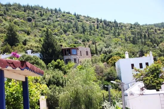 Kaçak Can Dündar'ın kaçak villası hakkında flaş gelişme! Yıkım tarihi belli oldu!-2