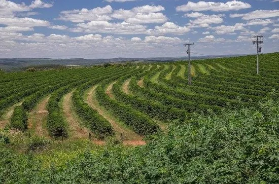 Kadının karnını keserek bebeğini çaldılar-6