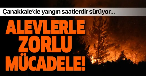 Çanakkale Gelibolu'da orman yangını! İşte son durum