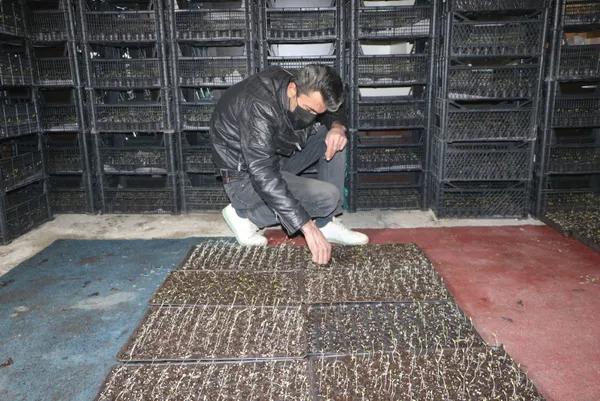 evini-sera-yapip-kiraya-cikti-sebze-fidesi-yetistiriciliginden-300-bin-lira-gelir-bekliyor-1617096915119.jpg