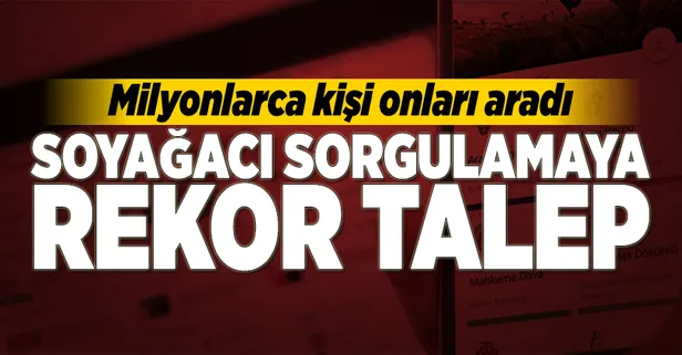 Soyağacı sorgulamaya rekor talep