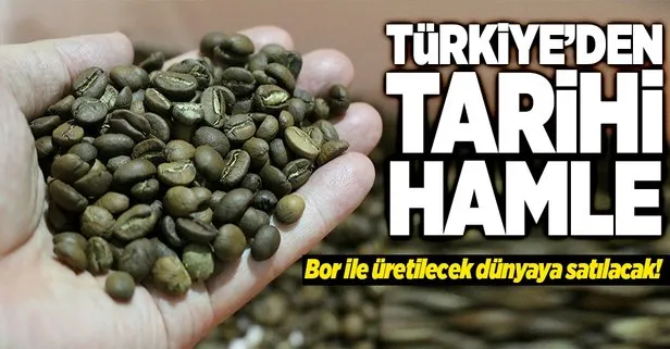 Türkiyeden tarihi bor hamlesi