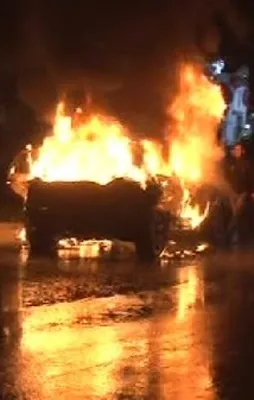 Lüks cipi neden yaktığı ortaya çıktı!