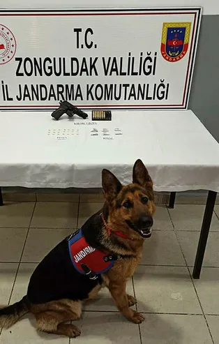 Zonguldak'ta uyuşturucu operasyonu: 1 gözaltı