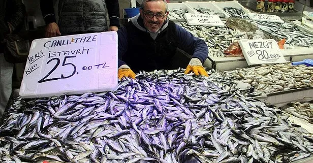 Karadeniz'de istavrit bolluğu! Ağı atan balıkçının yüzü gülüyor