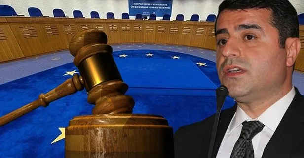 AİHM'in skandal kararına Türkiye'den sert tepki