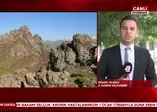 Son dakika: Bitlis'te Turuncu ve Gri Kategori'deki teröristler etkisiz hale getirildi