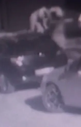 İstanbul'da akılalmaz tuzak! Yarım milyonluk gaspı vatandaşlar önledi
