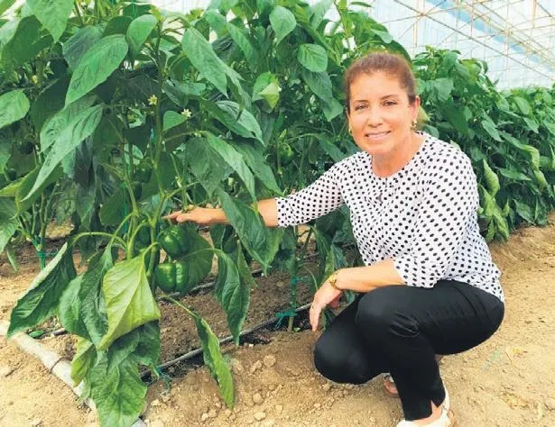 Hem üretiyor hem danışmanlık yapıyor