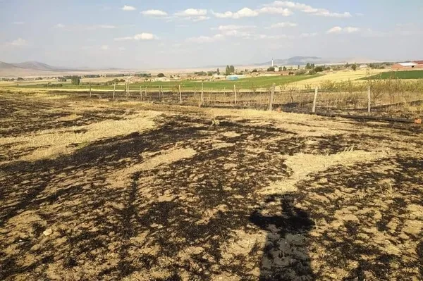 kus-yuksek-gerilim-hattina-carpti-yangin-cikartti-1629948216086.jpg Kuş yüksek gerilim hattına çarptı yangın çıkarttı-3