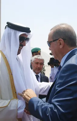 Katar Emiri Al Sani Türkiye'ye geliyor