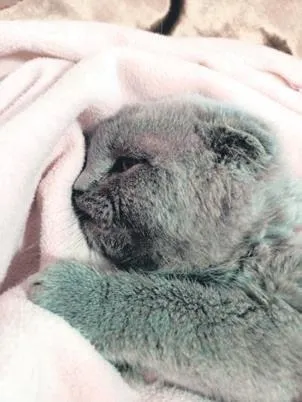 baskan-erdogan-9-yasindaki-gorme-engelli-bagere-soz-verdigi-hediyesini-yolladi-1639774530539.jpeg Kuraklık Büyük Menderes Nehri'ni vurdu! Büyük korkuya neden oldu-8