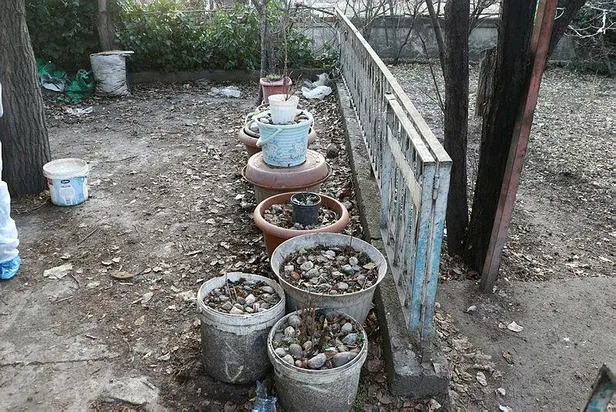 cop-evdeki-tuyler-urperten-gercek-olu-kedi-ve-kopekleri-saksiya-gomulmus-1641314087469.jpeg Çöp evdeki tüyler ürperten gerçek! Ölü kedi ve köpekleri saksıya gömülmüş...-6