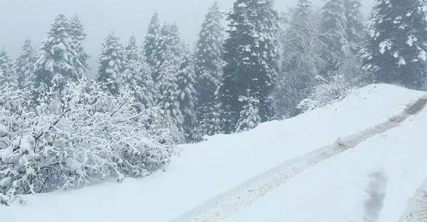 Meteoroloji peş peşe uyardı! Kara kış geri geliyor