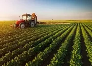 Tohum hibesi yapılacak 21 il hangileri? Çiftçiye tohum hibesi nasıl alınır? İşte başvuru şartları