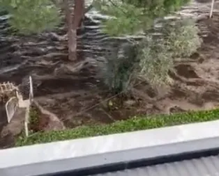 İzmir Seferihisarda meydana gelen 6,6 büyüklüğündeki deprem sonrası tsunami de oluştu