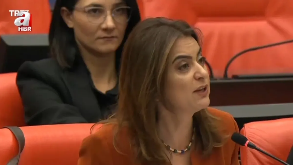 Meclis’te Halep tartışması! DEM Parti Türk bayrağından rahatsız oldu